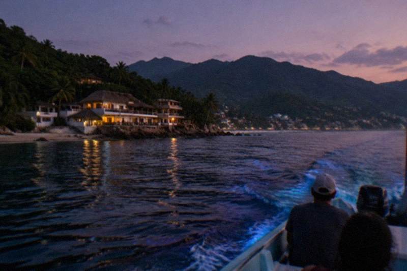 3-Hour Bioluminescence Sunset Boat