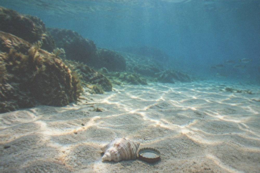 Sunlight filtering through clear blue water above a calm sandy bottom