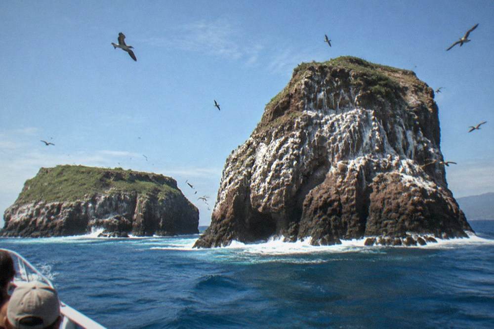 Rocky uninhabited islands rising from blue ocean with seabirds circling the cliffs