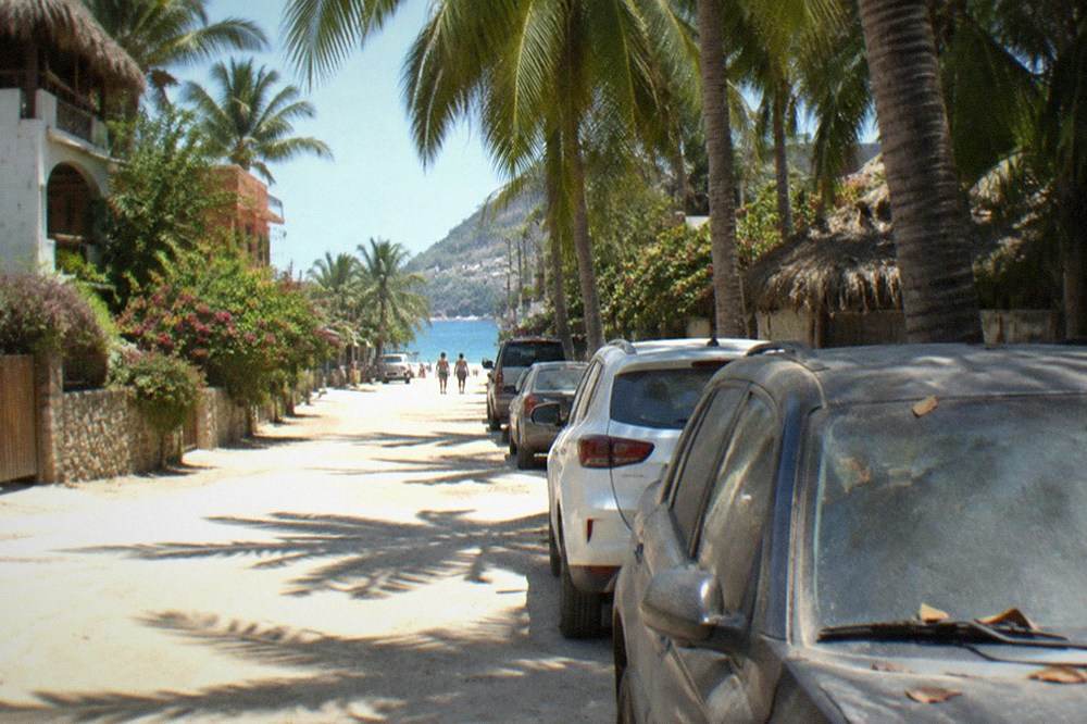 A row of parked rental cars shaded by palm trees beside a sandy street