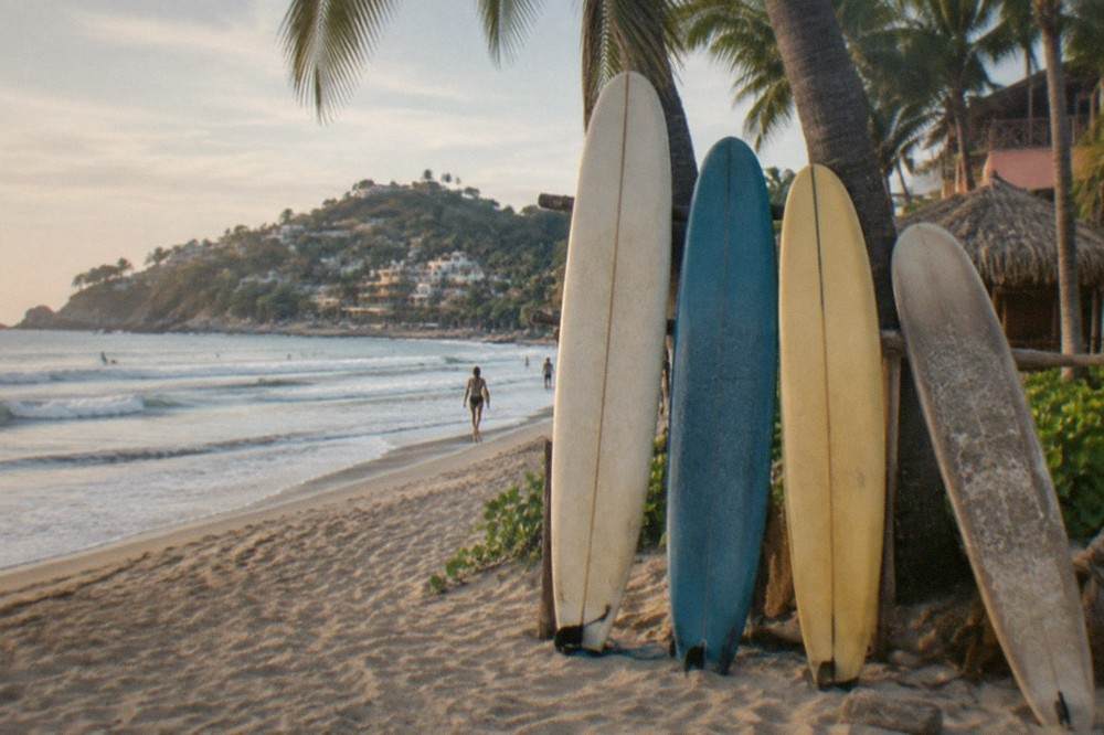Surfboards standing upright in the sand beside palm trees with gentle waves in the background