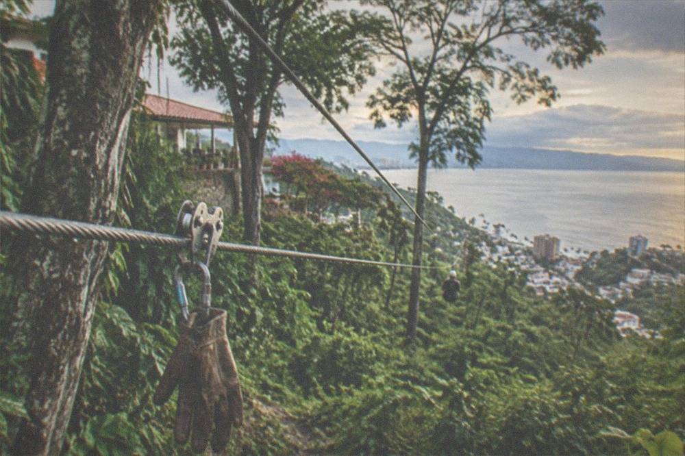 Zipline cables stretching between jungle trees on a hillside