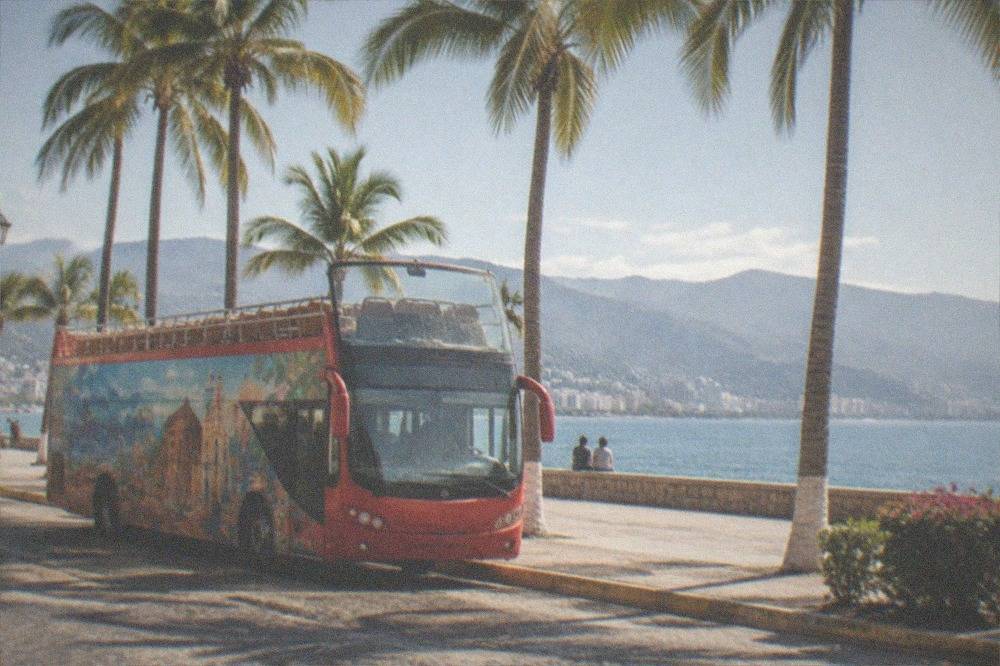 Open-top tour bus parked on a palm-lined street in downtown Puerto Vallarta